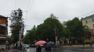 Пасмурно и дождливо будет в Чувашии 15 августа