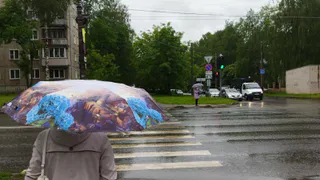 В Чувашии синоптики пообещали 2 августа дождливую погоду: не забудьте зонт