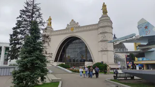 Накроет денежным дождем: Тамара Глоба назвала знаки, которых ожидает бриллиантовая полоса весной-2025