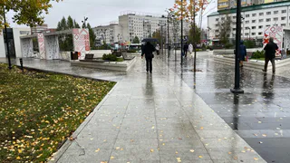 Гороскоп на 3 октября: Весам нужно пересмотреть приоритеты, а Водолеи почувствуют прилив вдохновения