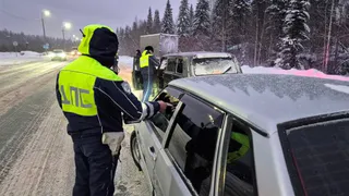 Всех водителей с многолетним стажем обяжут пересдавать права в марте