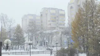 Желтый уровень опасности: в Чувашии ожидается переменчивая погода и порывы ветра до 17 м/с