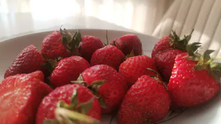 Обрезка клубники после плодоношения: говорим, когда можно и нельзя