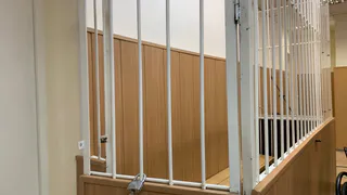 Житель Чувашии получил срок за избиение матери палкой в огороде