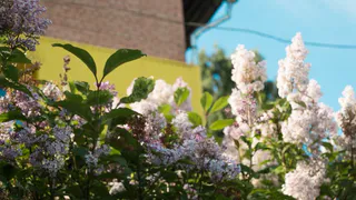 Чувашия вздохнет с облегчением: жара отступает и приходят дожди