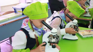 В ядринской школе первоклассники проводят научные эксперименты