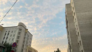 Семья из Чебоксар взыскала с застройщика 400 тысяч из-за плесени и трещин в квартире