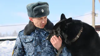 Кинологи УФСИН Чувашии демонстрируют высокий уровень профессионализма