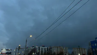 Грозы, туман и высокая пожароопасность: прогноз погоды в Чувашии на 16 июня