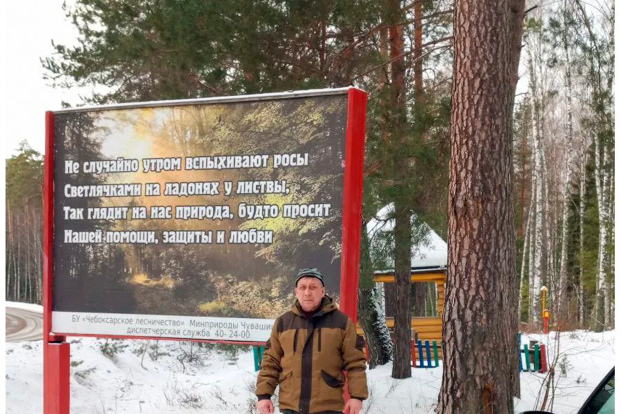 В Чувашии проходит акция «Не губите ёлочку»