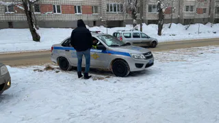 С 8 апреля выехавших за город будут лишать прав: у водителей начнут искать этот предмет в багажнике