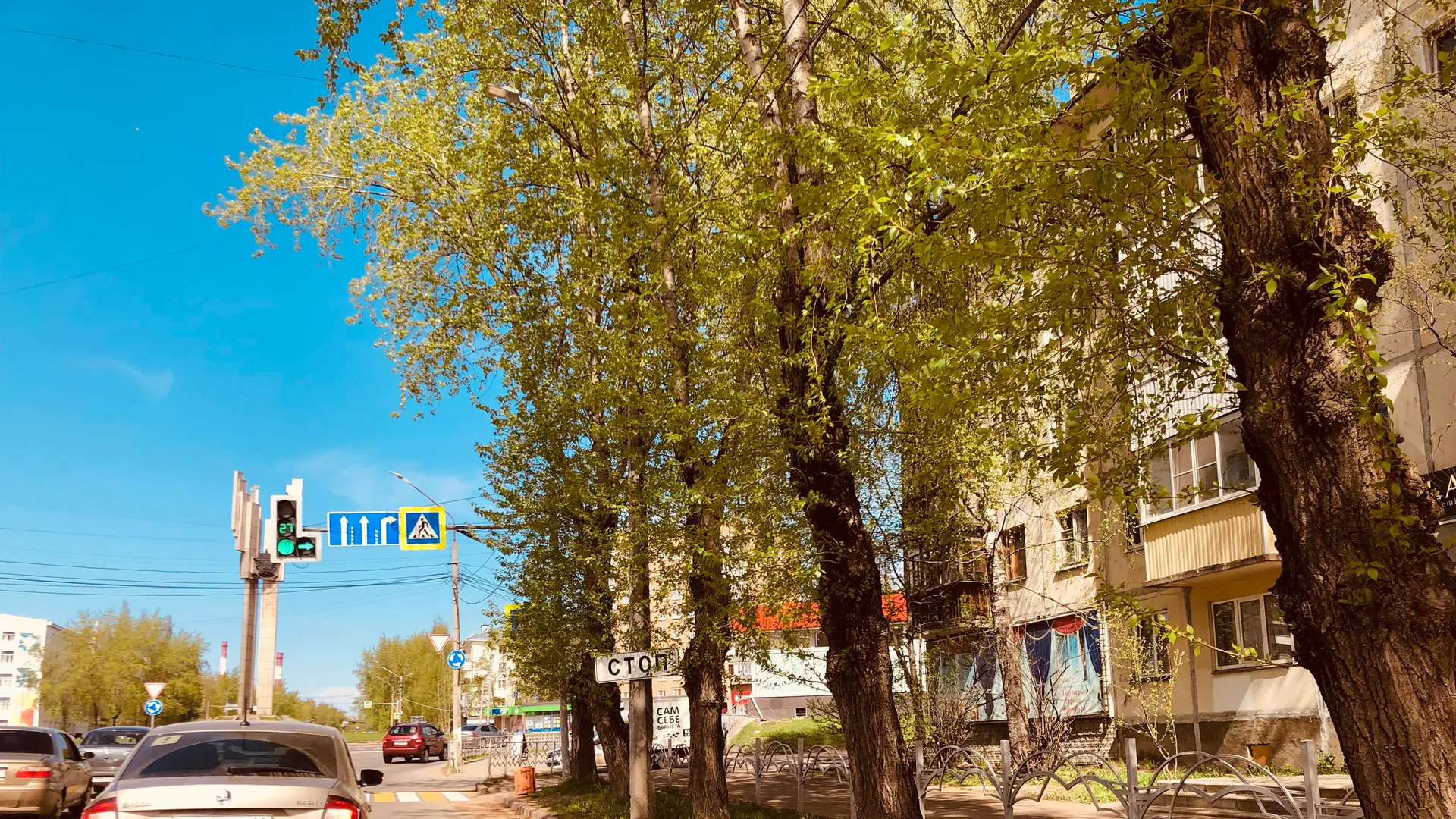 Наступит настоящее лето: Роман Вильфанд назвал точную дату потепления в Центральной России