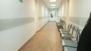 Водитель и двое пассажиров госпитализированы после столкновения с лосём на трассе в Чувашии