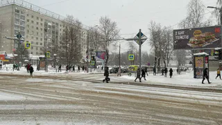 Синоптики предупреждают жителей Чувашии о метелях 11 января
