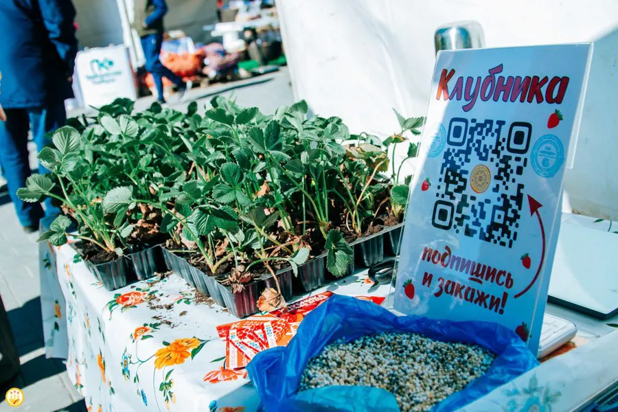 В Чувашии вновь появится возможность купить фермерскую продукцию без посредников