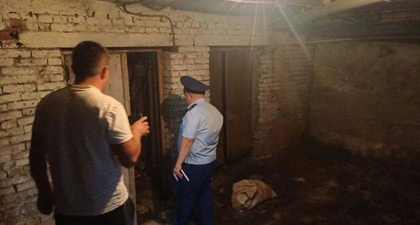 Бастрыкин заинтересовался домом в Чебоксарах, внутри которого плесень и трещины
