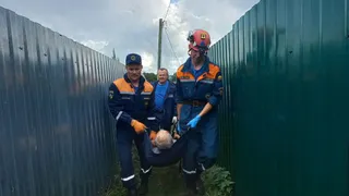 Сотрудники службы спасения донесли сломавшего ногу в овраге дачника до врачей