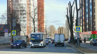С 2 июня - новое правило вводится для всех, кто водит автомобиль. Теперь полный запрет