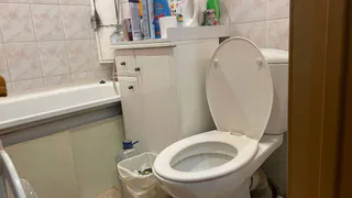 Уходя из дома, кидаю чайный пакетик в унитаз - волшебный совет знакомой горничной