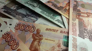 В Чувашии многодетным семьям предложили деньги вместо земли