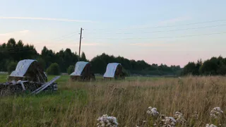 Уборочная кампания в Чувашии идет с опережением, несмотря на непогоду