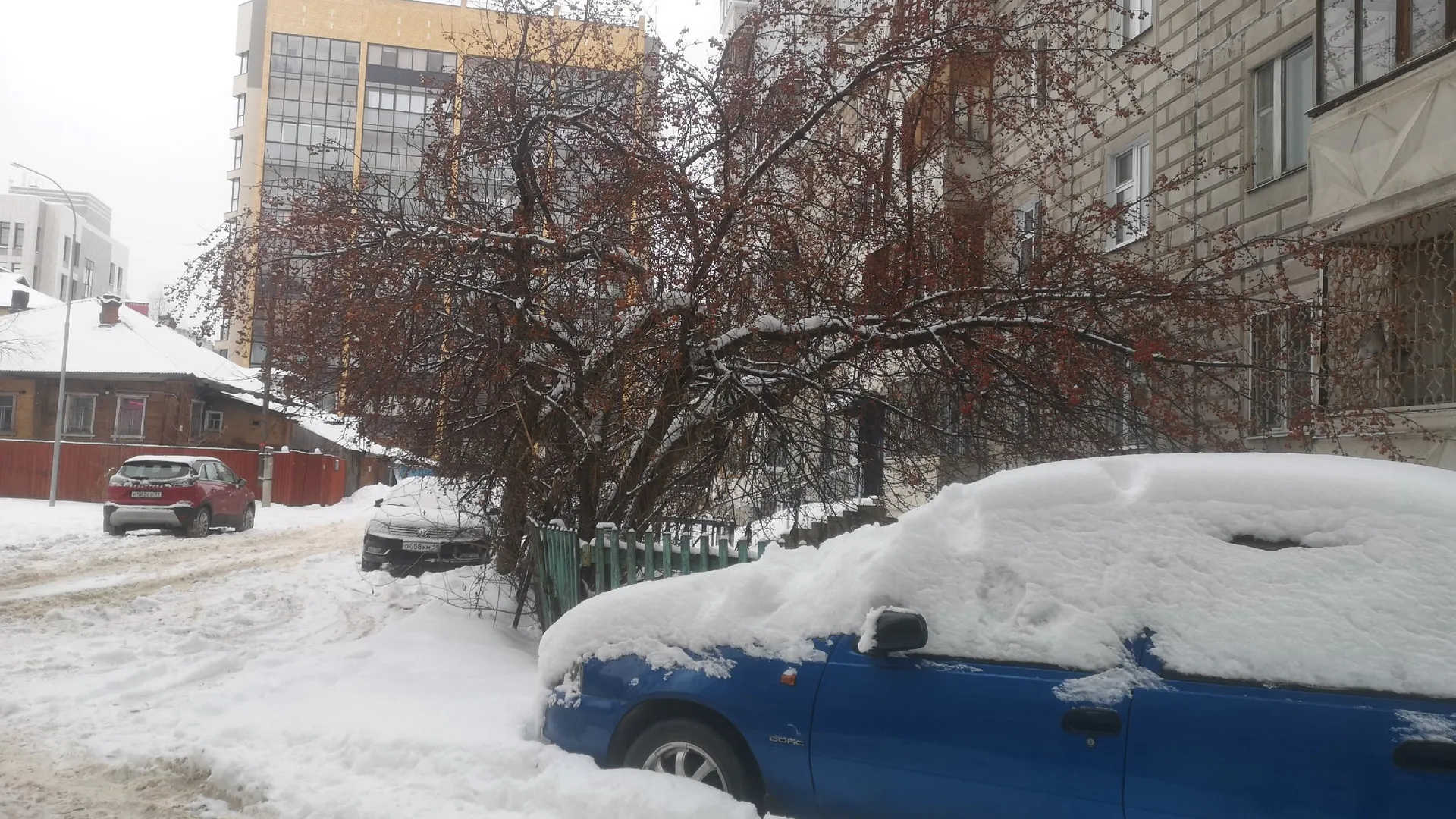 Поступили новые данные: синоптики неожиданно изменили прогноз на начало марта