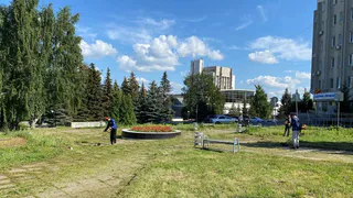 Чебоксарские коммунальщики скосили траву на площади 3,5 миллиона квадратных метров