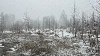 Резкие перепады температуры и ветер надвигаются на Чувашию