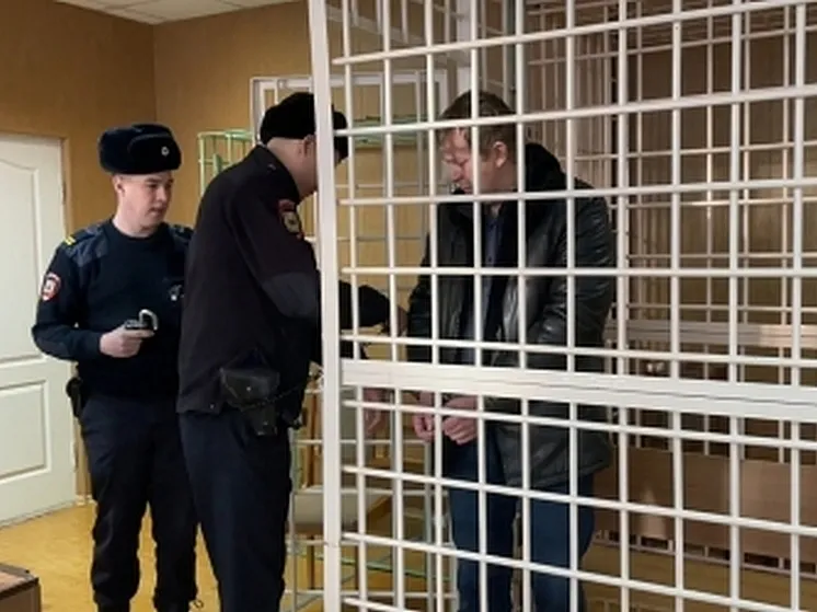 Замруководителя ЦРО учреждений здравоохранения Чувашии заключили под стражу