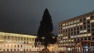 В Кирове представили чувашскую ёлку на всероссийском фестивале