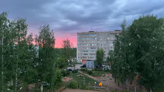 В Чувашии ядовитая змея заползла во двор, где находились дети