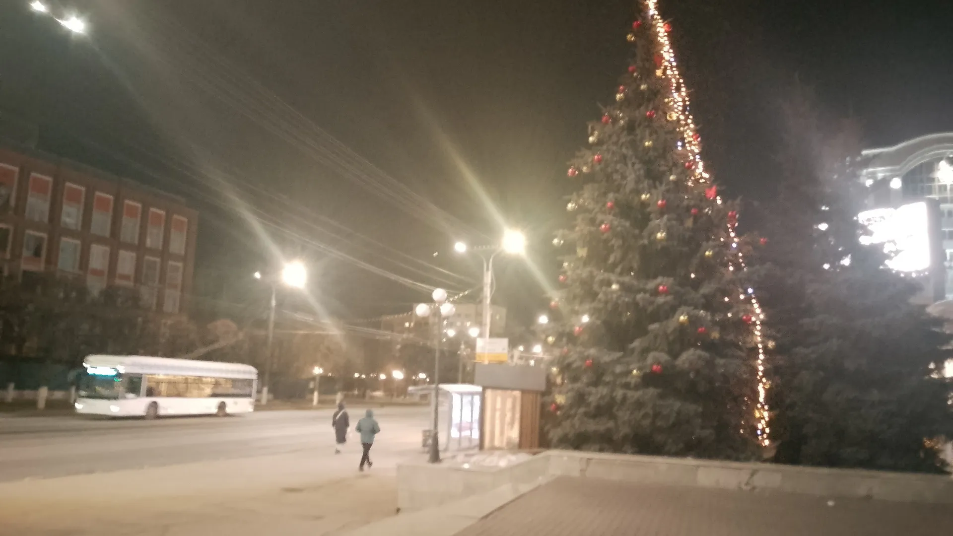 В Чебоксарах на 72 деревьях появились новогодние гирлянды
