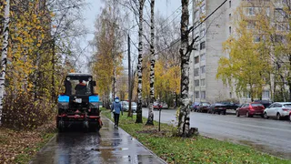 Синоптики рассказали, какая погода в Чувашии ожидается в пятницу