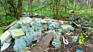 В лесу Чувашии обнаружили свалку на площади около 15 квадратных метров