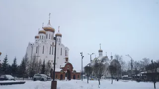 «Все лето будет аномальное». Синоптики обнародовали новый прогноз