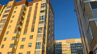В Чувашии 11 мая установится солнечная, но ветреная погода