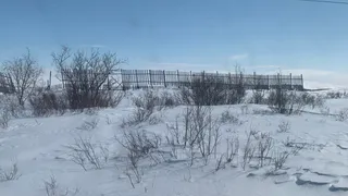 Весной ударят аномальные морозы, которые будут хлеще зимних. Синоптики назвали новый прогноз на март и апрель