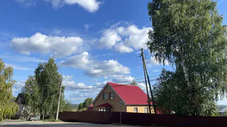 Аномальная зима породит невыносимое лето: синоптики рассказали, к чему стоит всем готовиться в 2025