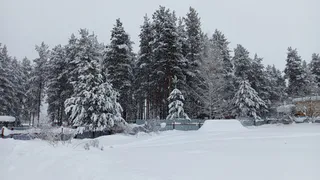 Такой весны на нашем веку еще не было: синоптики объявили точные даты прихода аномальной жары