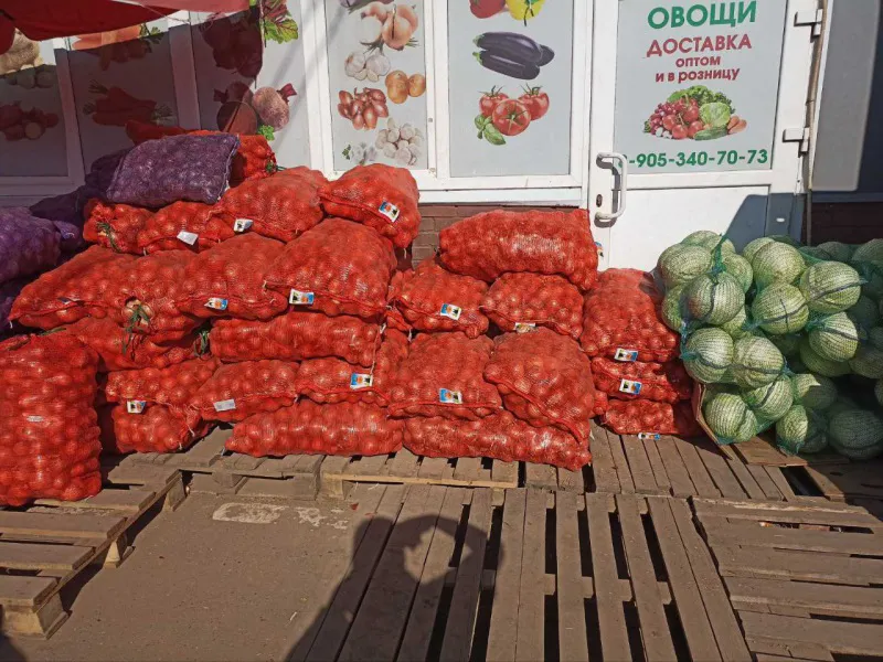 "Дары осени - 2024": где, когда и почем продают сельхозпродукцию