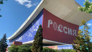 Рамзан Кадыров готов принять Илона Маска в Чечне
