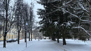 Ветер и снегопад обрушатся на Чувашию 11 декабря