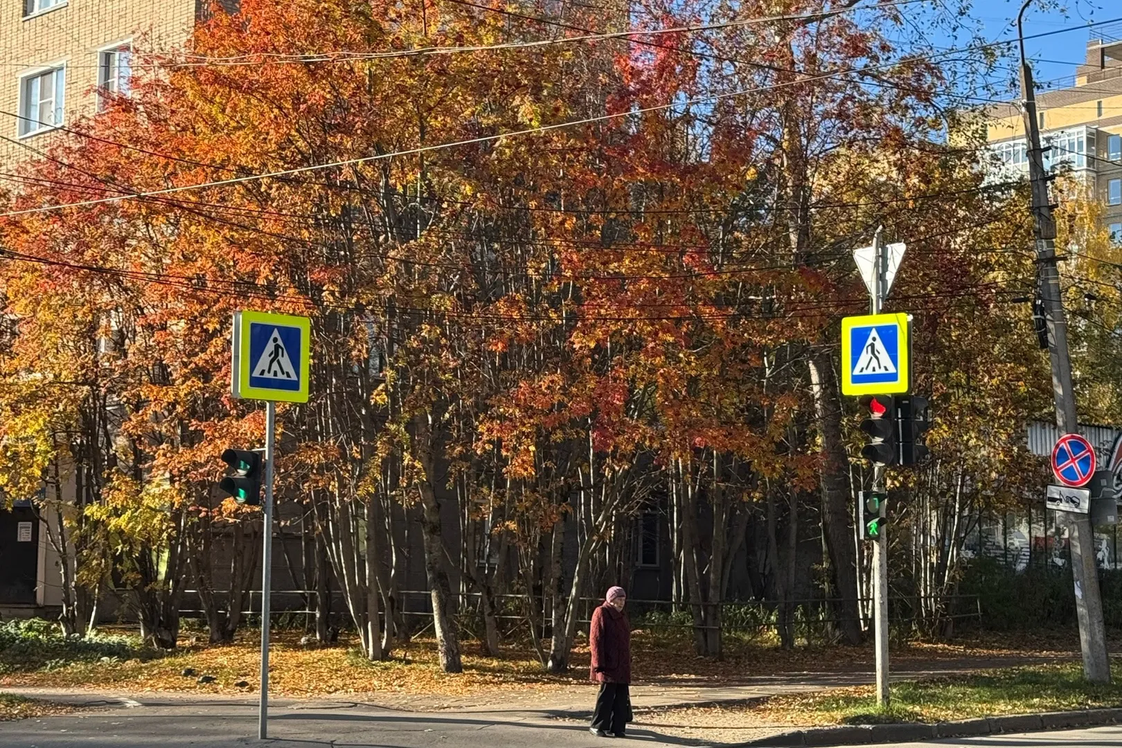 После ночного снегопада в Чувашию на 10 дней вернётся тёплая ветреная осень