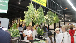 На агромаркете в Чебоксарах представили продукцию лесничеств