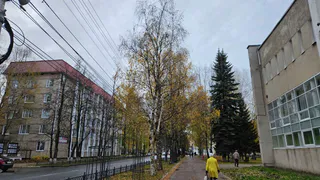 Гороскоп на 27 сентября: Овнам нужно расслабиться, а Весы могут ожидать приятные сюрпризы