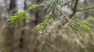 Чувашская Республика готовится к дождливым и скользким выходным