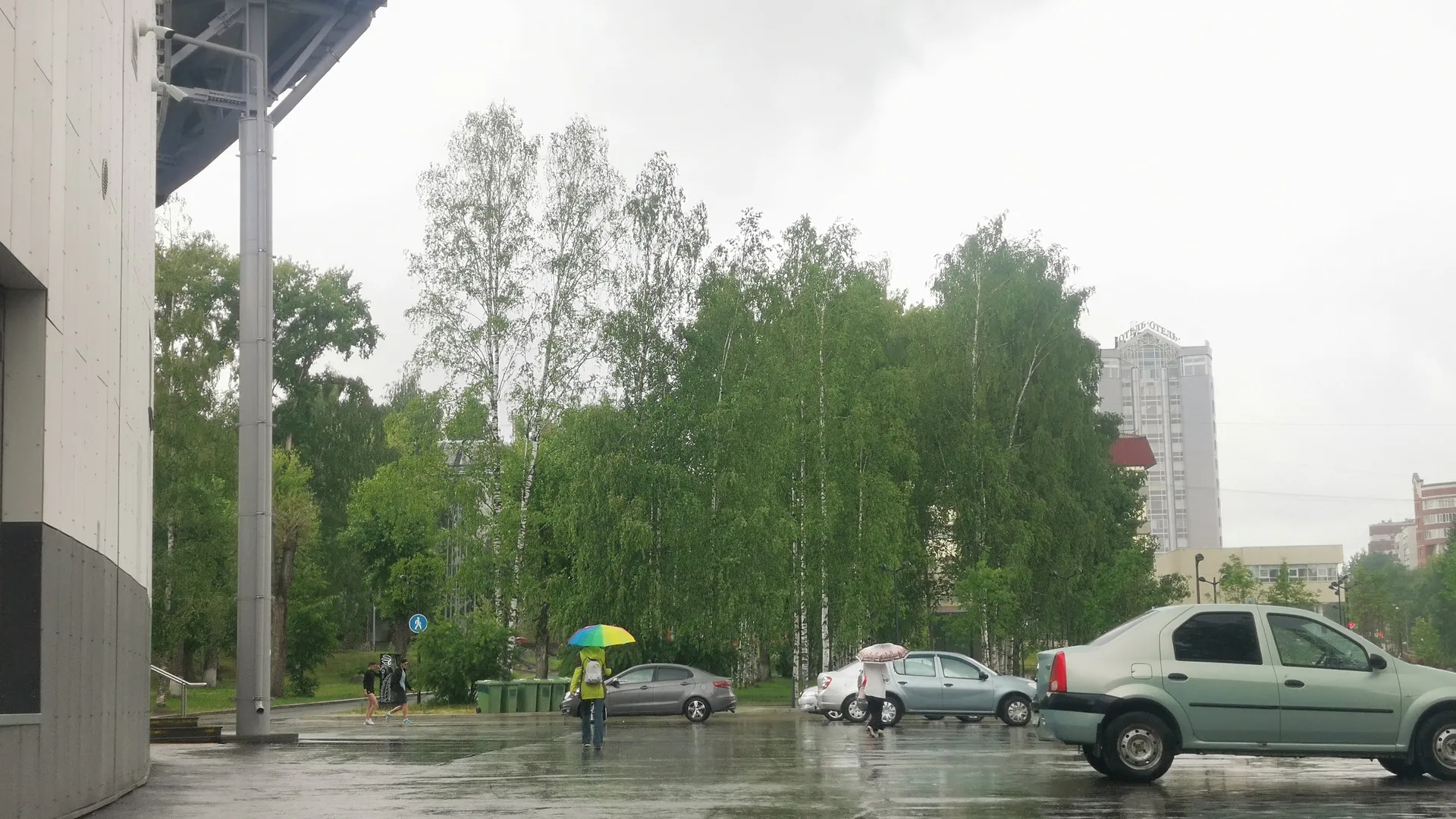 Дожди и северный ветер придут в Чувашию в четверг