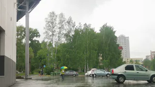 Дожди и северный ветер придут в Чувашию в четверг