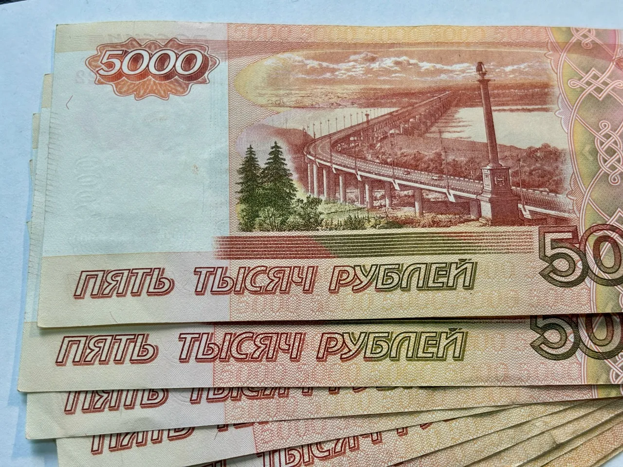 Арест кладовки заставил жителя Чувашии погасить долг в 403 тысячи рублей
